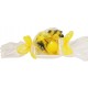 Ciotola Limone  con un sacchetto da 1 pz sapone limone da 25 gr cad. con cartoncino personalizzabile  conf. cellophane